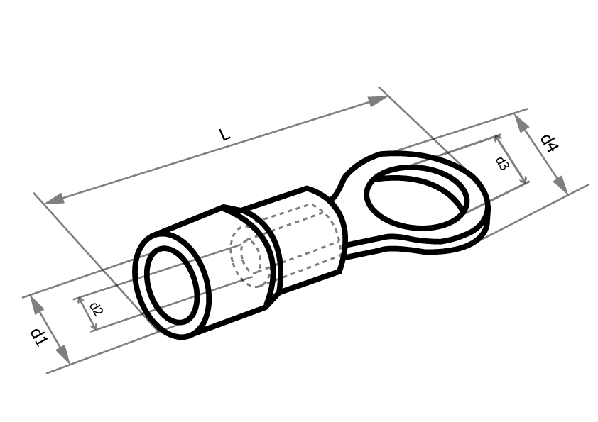 tecnico anillo